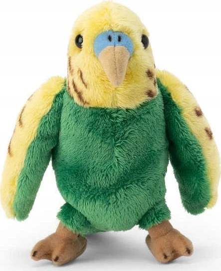 Budgerigar's Teka