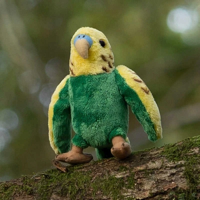 Budgerigar's Teka