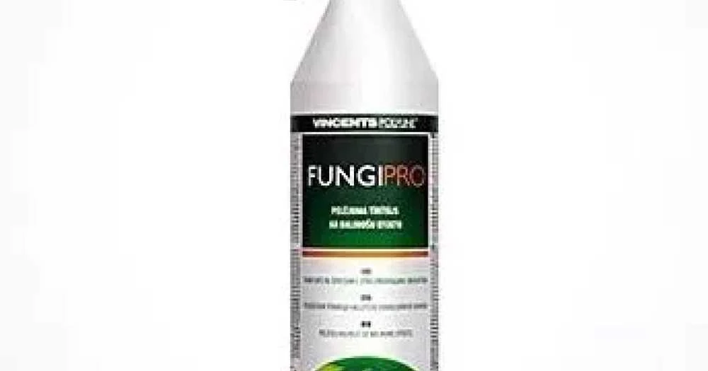 Vincents Skystis prieš pelėsius Fungi Pro 0,75 l