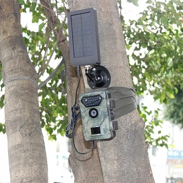 Camouflage kameros gaudyklės saulės skydelis - WildcameraXL