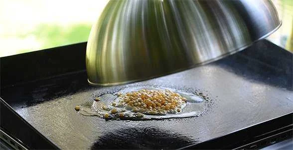 Campingaz lempos gaubtas Campingaz BBQ ACCY PREMIUM