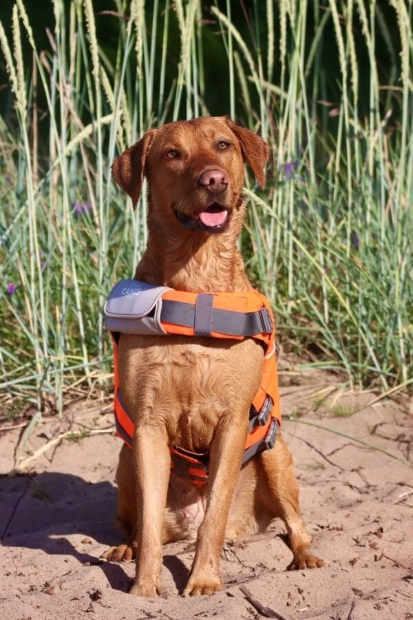 Caniwild Life Jacket L