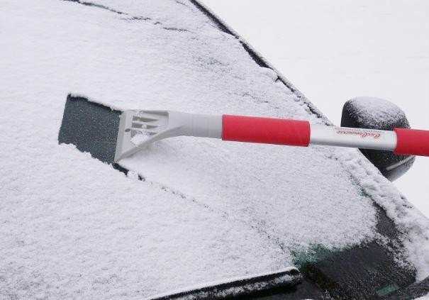 Pozostali Producenci GYVATĖS IR KRAKMOLO AVIOLA