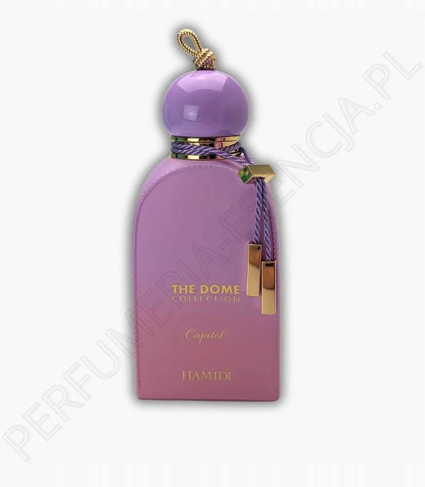 Hamidi Capitol EDP parfumuotas vanduo vyrams, 100 ml