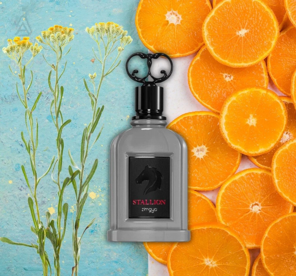 Zimaya Stallion EDP parfumuotas vanduo vyrams, 100 ml
