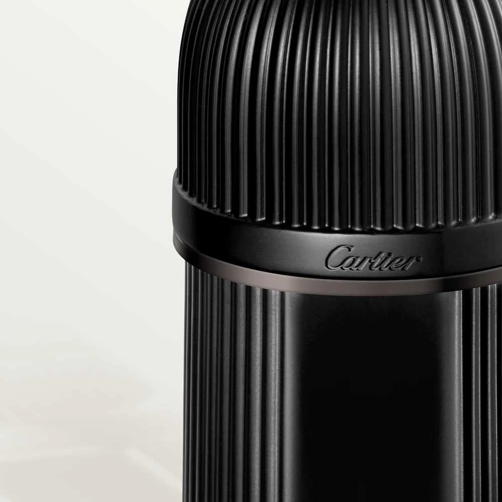 Cartier Pasha De Cartier Noir Absolu PP kvepalai vyrams, 100 ml