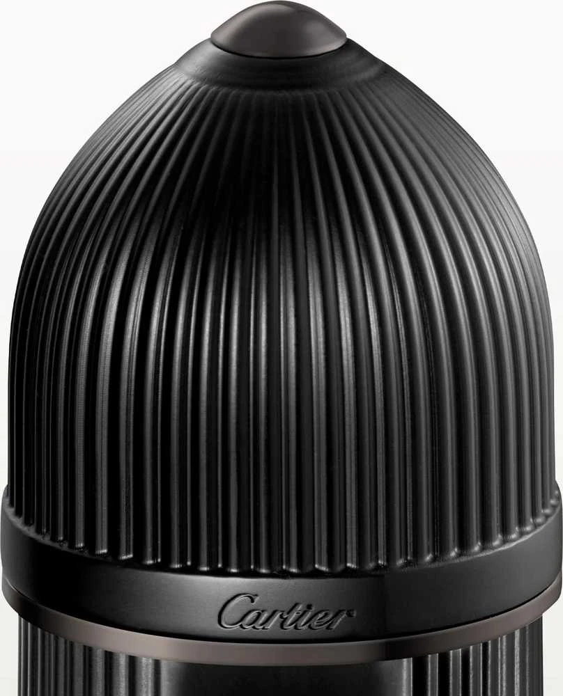 Cartier Pasha De Cartier Noir Absolu PP kvepalai vyrams, 100 ml