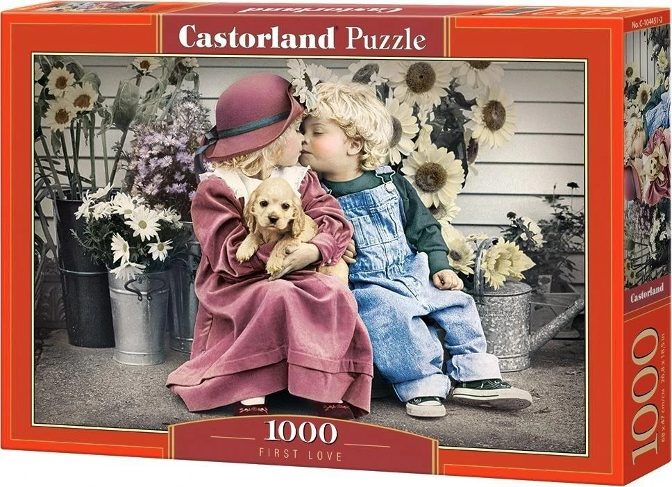 Dėlionė Castorland Dėllionė PIRMOJI MEILĖ 1000 det.