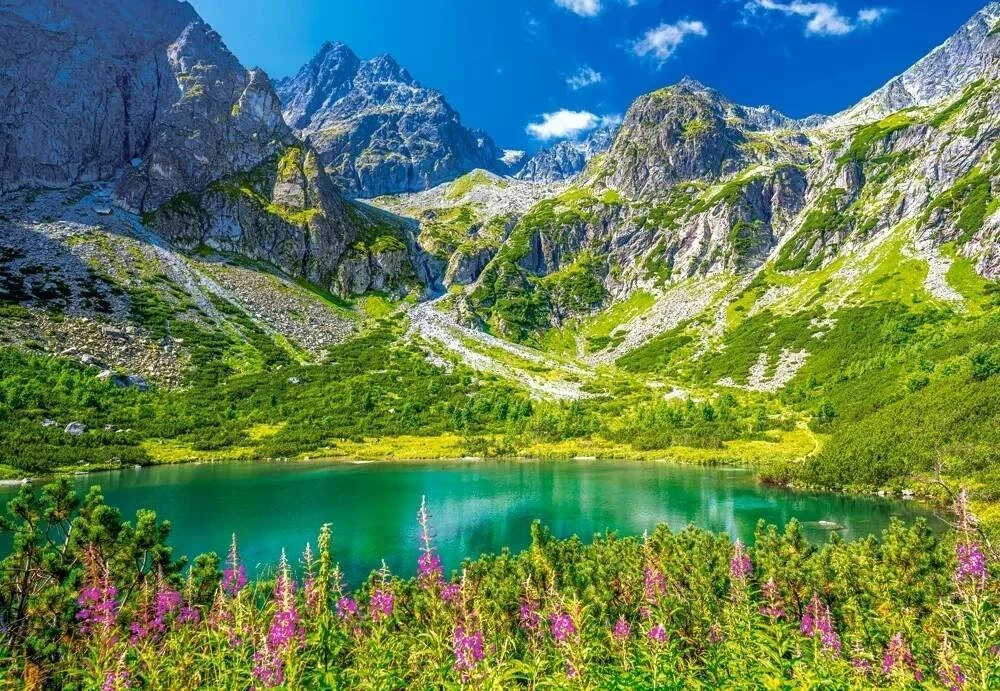Castorland dėlionė Zelene Pleso Tatras Slovakia 1000 det.