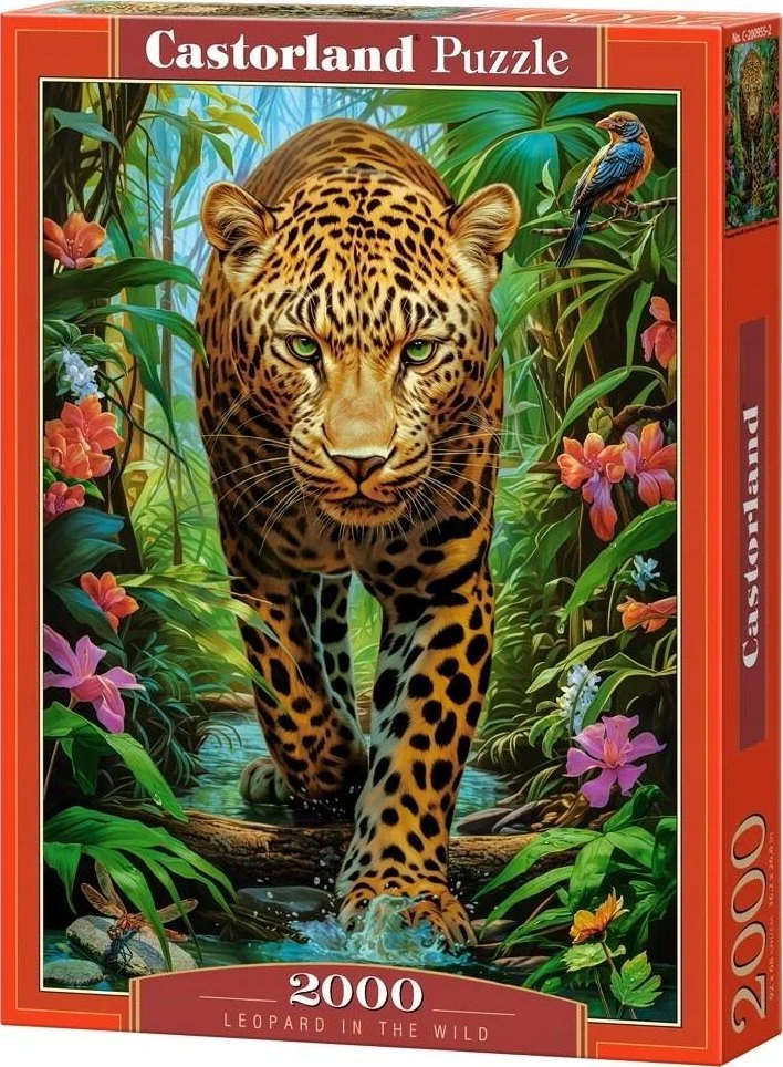 Castorland Dėlionė 2000 vnt. - Leopardas
