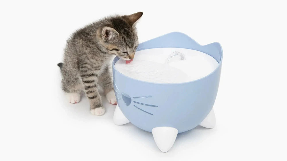 Catit Pixi išmanusis vandens fontanas, katėms, 2 l | žalios spalvos