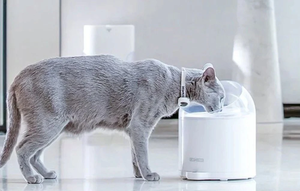Catlink Pure 2 pakaitiniai filtrai (2 vnt)