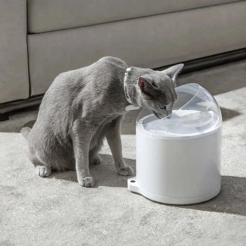 CATLINK AI Vanduo fontanas – Pure 2 UV