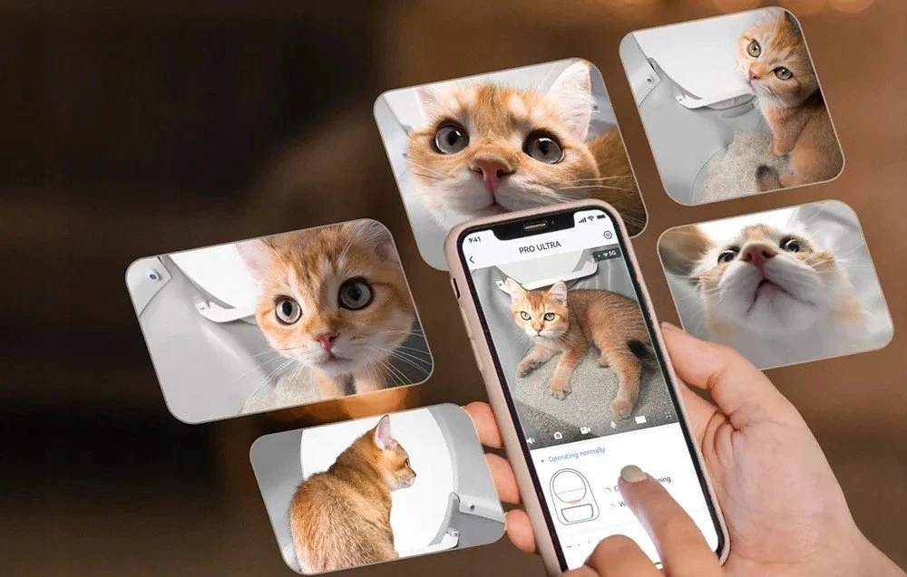 „Catlink“ išmanioji savaime išsivalanti kraiko dėžutė su dirbtinio intelekto kamera katėms „Scooper Pro Ultra“