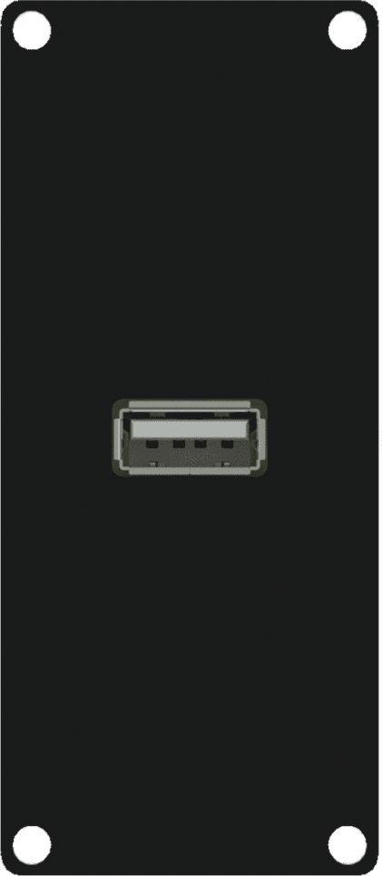Caymon Modulis su USB 2.0 A tipo jungtimi (CASY161 / B)