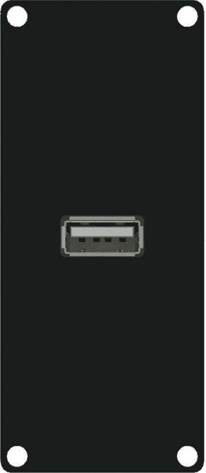 Caymon Modulis su USB 2.0 A tipo jungtimi (CASY161 / B)