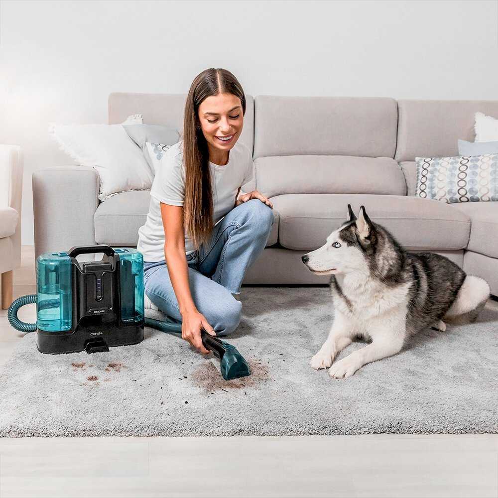 Dulkių siurblys CECOTEC Conga Carpet&Spot Clean Infinity