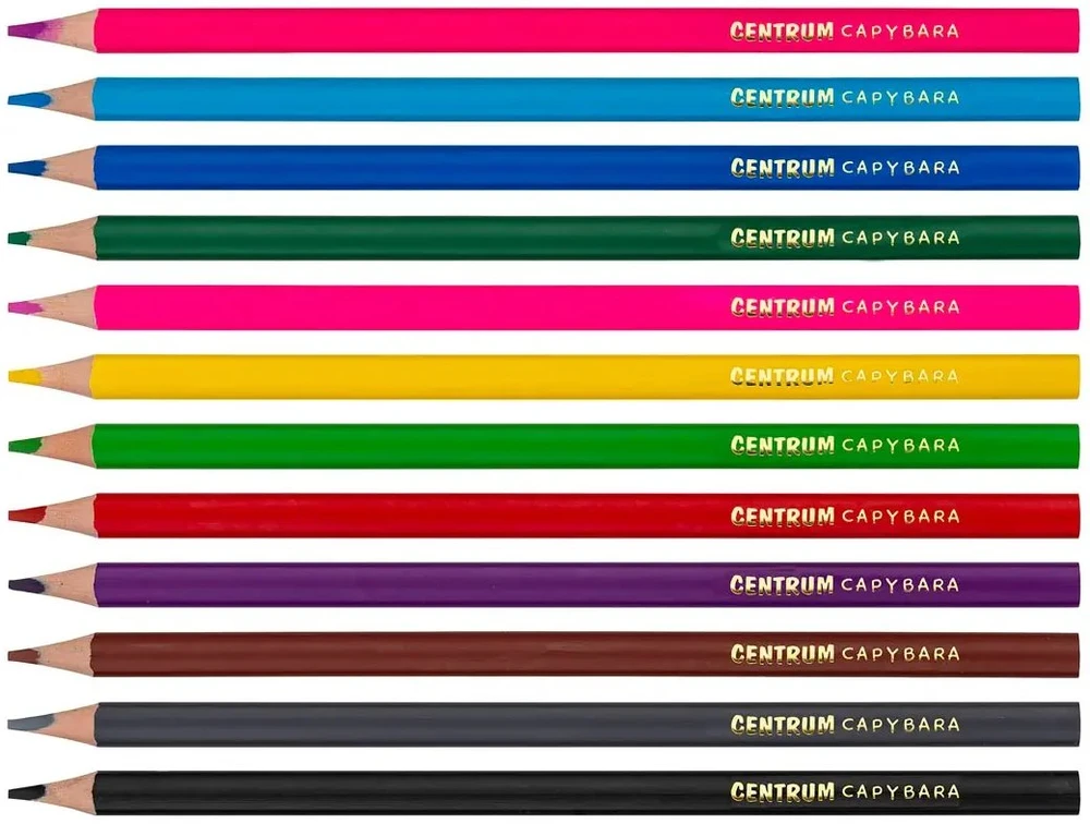 Centrum Colour pencils plastikas 12COL Capybara