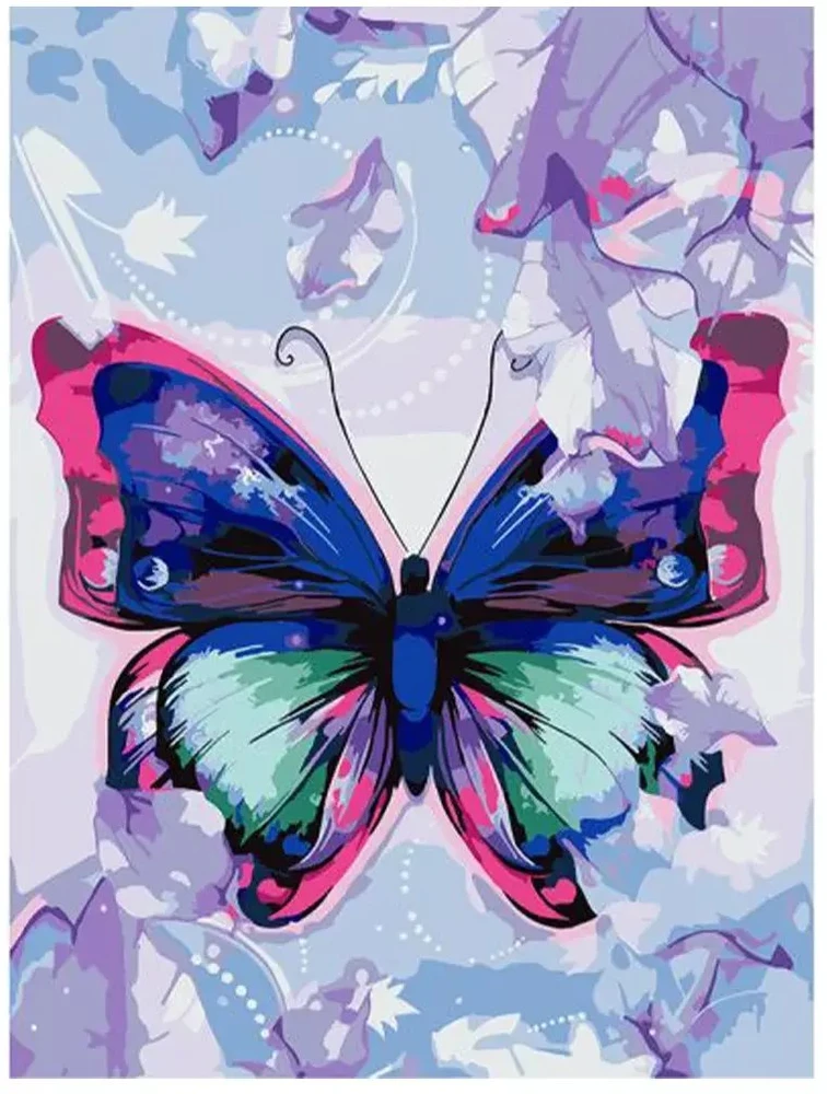 Centrum Rinkinys tapybai ant drobės pagal skaičius BUTTERFLY, 300x400mm