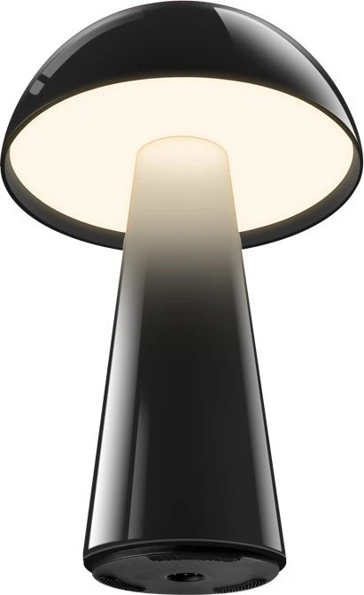 Century Šimtmečio LED lempa COCO juoda 1,5W 2700K 100 Lumen Dimm. IP44