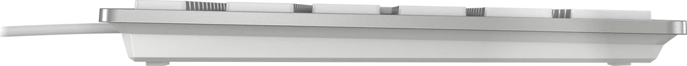 CHERRY KC 6000 SLIM FOR MAC klaviatūra USB QWERTZ Vokiečių Sidabras