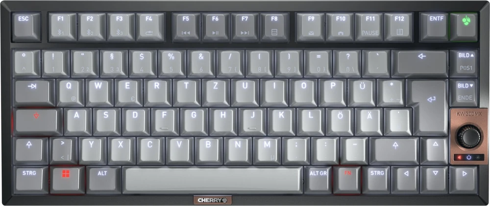 Klaviatūra Cherry MX 2A (G80-3960HIADE-2)