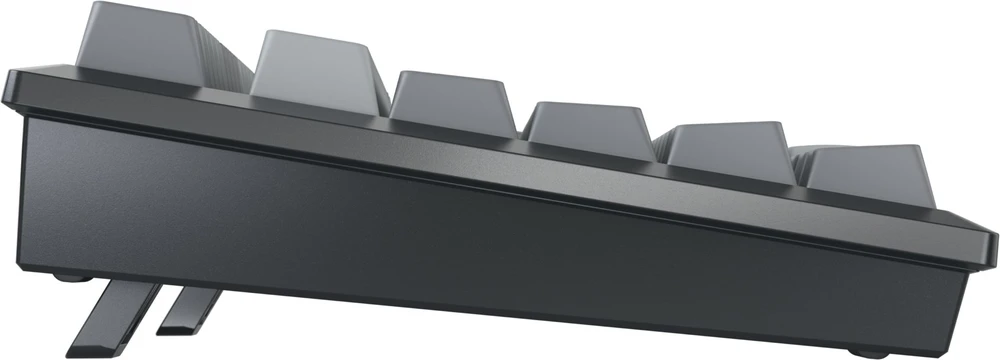 Klaviatūra Cherry MX 2A (G80-3960HIADE-2)