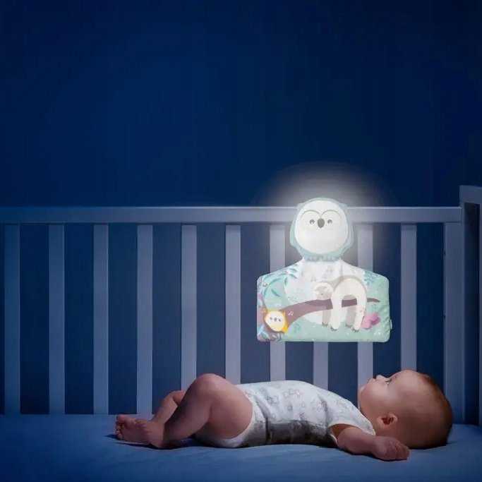Chicco „First Dreams“ interaktyvi pelėda