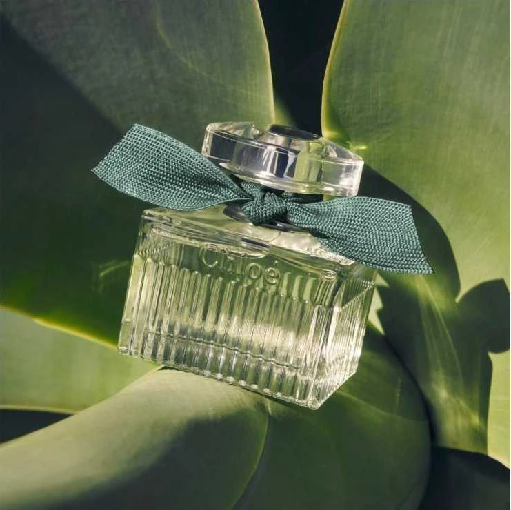 Chloé Chloe Rose Naturelle Intense EDP parfumuotas vanduo moterims, 30 ml