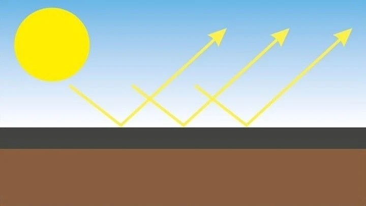 Chomik Agroplėvelė nuo piktžolių 1 x 10 m, juoda, 50 g/m²