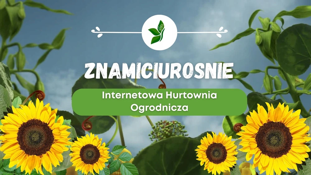 Chomik Agroplėvelės tvirtinimo smeigės, 12,5 cm – 50 vnt.
