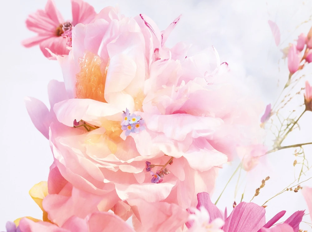 Christian Dior Dior Miss Dior Blooming Bouquet 2023 EDT tualetinis vanduo moterims, 150 ml