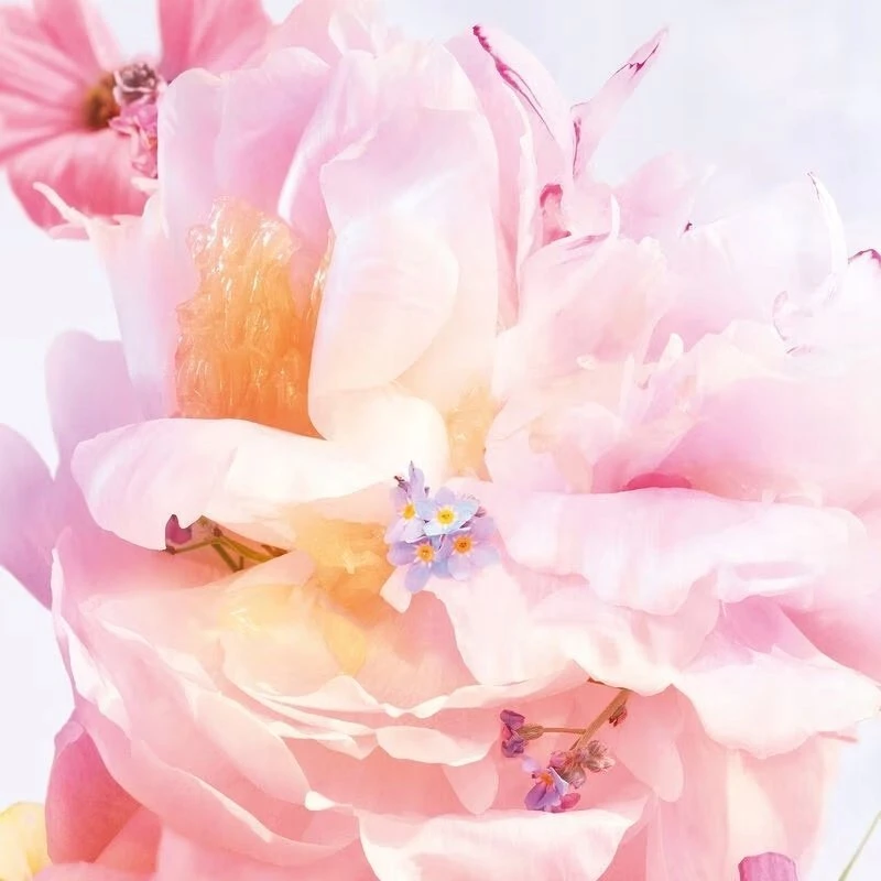 Christian Dior Dior Miss Dior Blooming Bouquet 2023 EDT tualetinis vanduo moterims, 150 ml