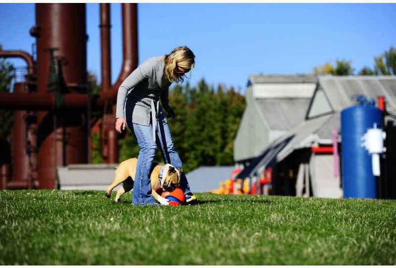 Chuckit! KICK FETCH MAŽAS (251101)