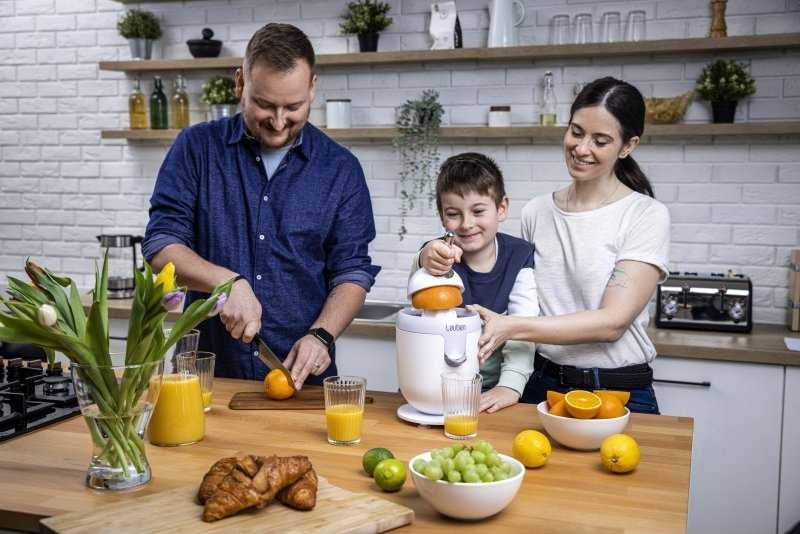 Sulčiaspaudė Citrus presser Lauben 110WT