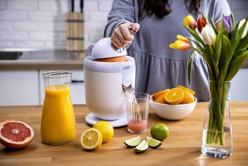 Sulčiaspaudė Citrus presser Lauben 110WT