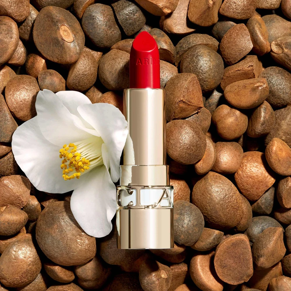 „Clarins“ lūpų dažai („Joli Rouge“) 3,5 g, 742 „Joli Rouge“