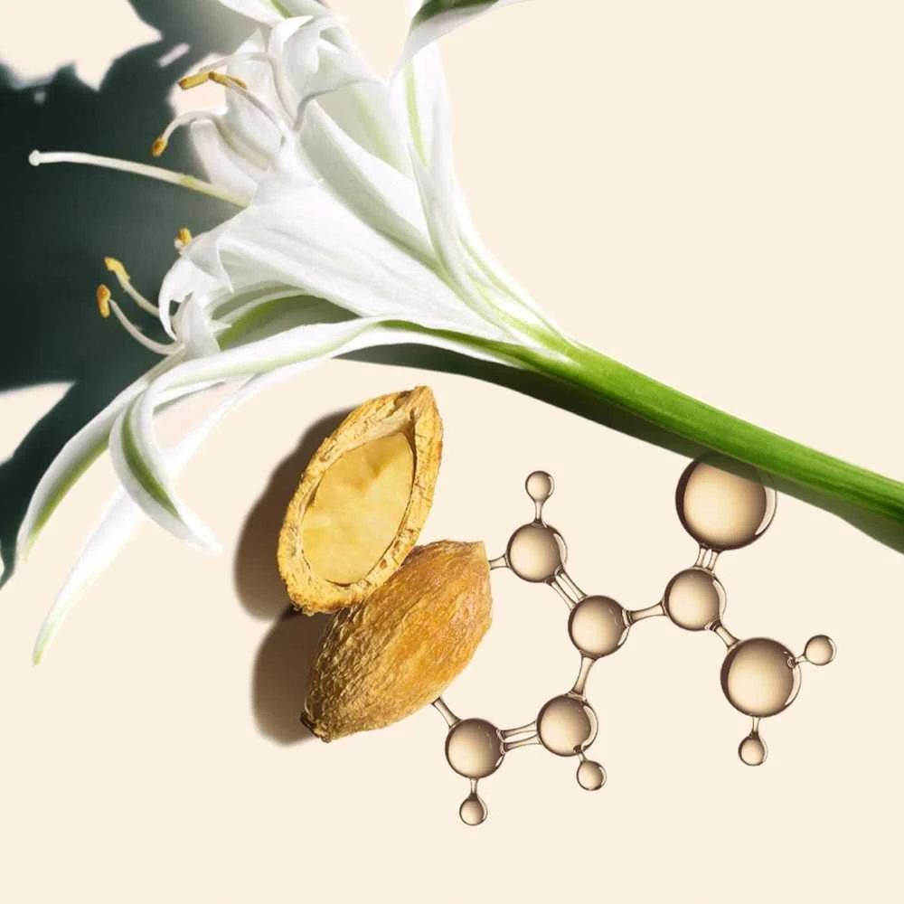 Clarins Nutri-Lumière Spf15 Day Kreminis, 50 ml