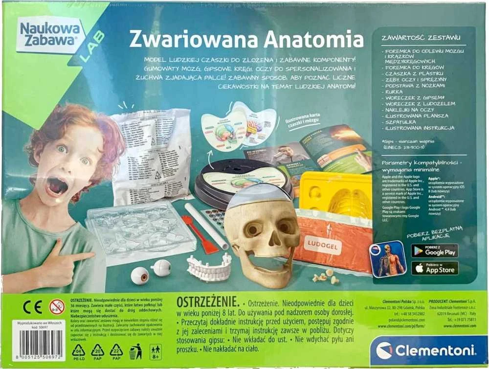 Clementoni, Anatomijos edukacinis rinkinys