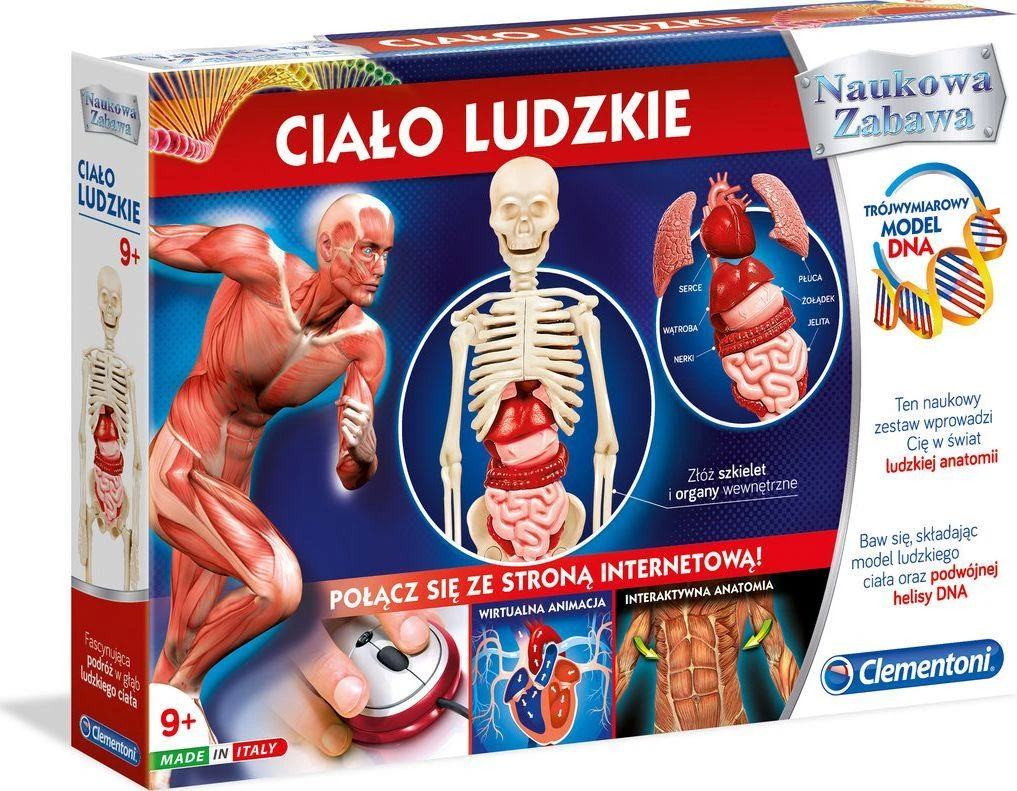 Edukacinis žaidimas Žmogaus kūnas Clementoni, 60249