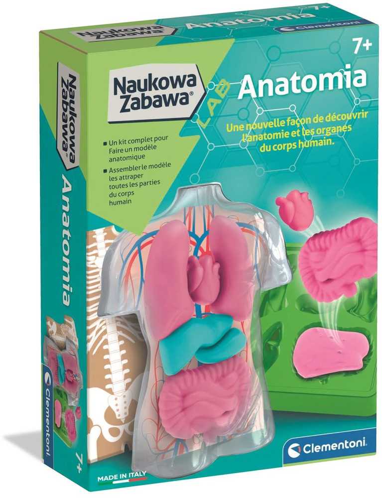 Clementoni Žaislai CLE Naukowa zabawa Anatomia 50252