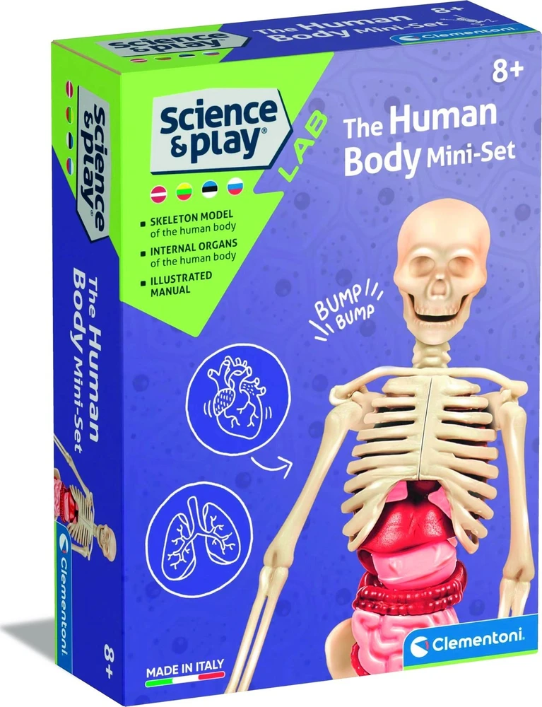 Edukacinis žaislas Clementoni The Human Body Mini-Set 50824