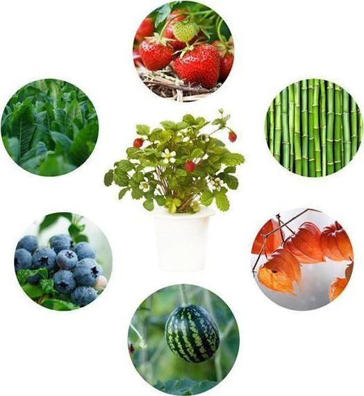 Click Grow „Click and Grow“ – išmaniojo sodo papildymo 3 vnt. pakuotė – eksperimentinis (SGR0X3)