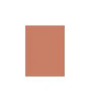 „Clinique True Bronze“ presuoto pudros bronzantas, 03 Sunblushed 9, 6 g