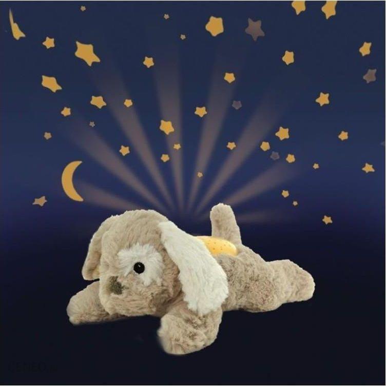 CLOUD B migdukas projektorius Dream Puppy aprašymas - Prekės nuotrauka