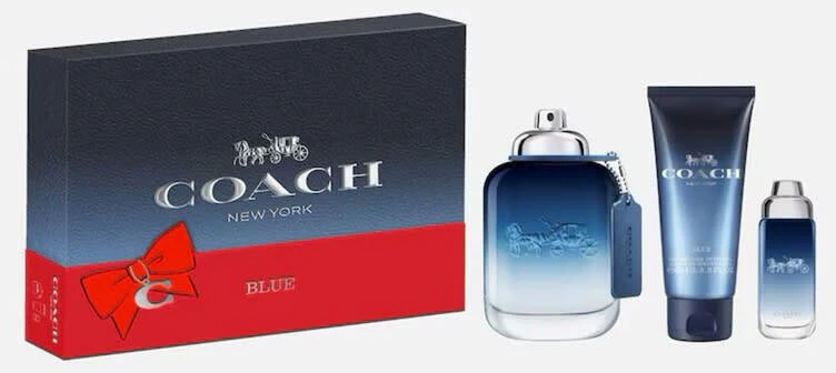 Set Coach: Mėlyna Eau De Toilette For Men, 100 ml + Mėlyna Eau De Toilette For Men, 15 ml + Mėlyna Dušo želė Beard & Hair, 100 ml