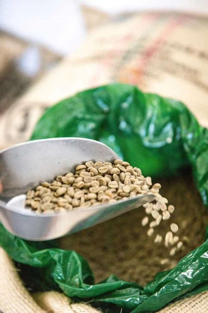 Coffee Plant KAVOS AUGALAS - Gėlių esencijos espreso kava 250g