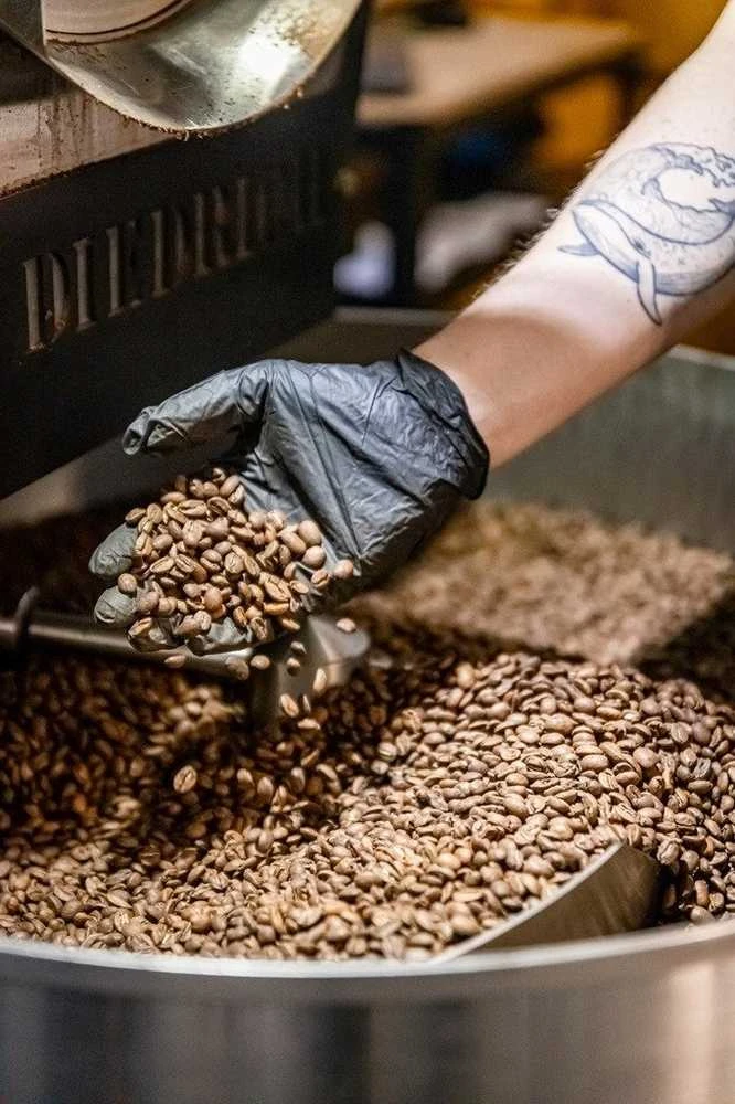 Coffee Plant KAVOS AUGALAS - Gėlių esencijos espreso kava 250g