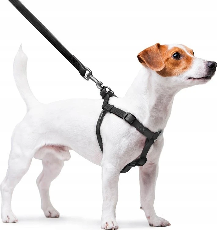 Collar Antkaklis WAU ŠUNŲ PARAŠAS VANDENĮ ATSPIRUS 2.0/305cm PVC Juodas