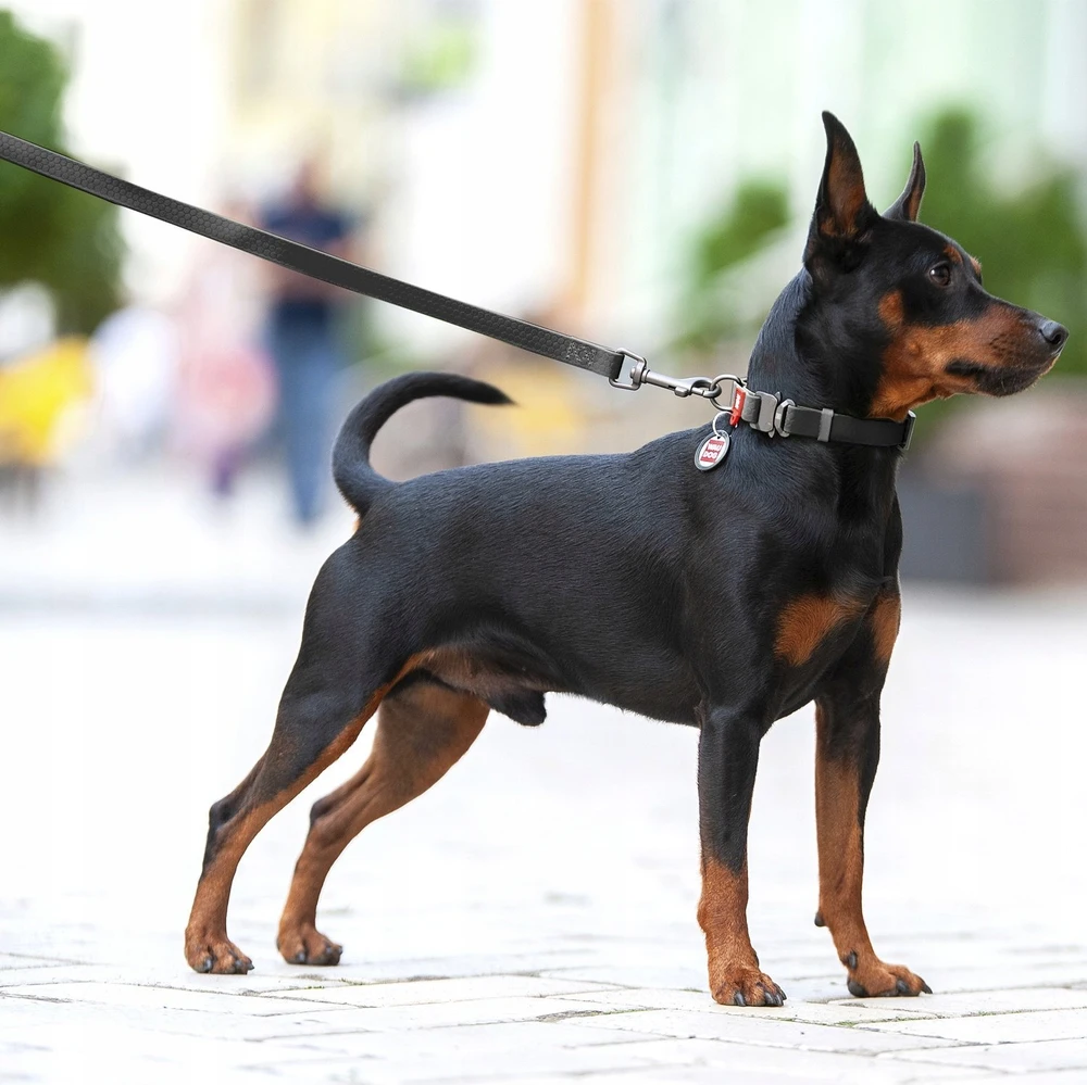 Collar Antkaklis WAU ŠUNŲ PARAŠAS VANDENĮ ATSPIRUS 2.0/305cm PVC Juodas